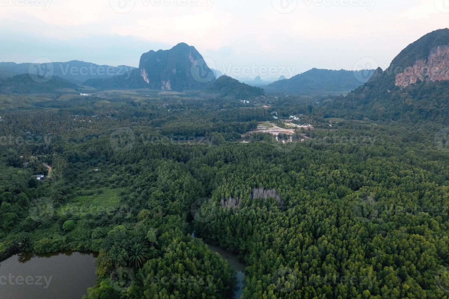 High angle mangrove forest and canal water photo