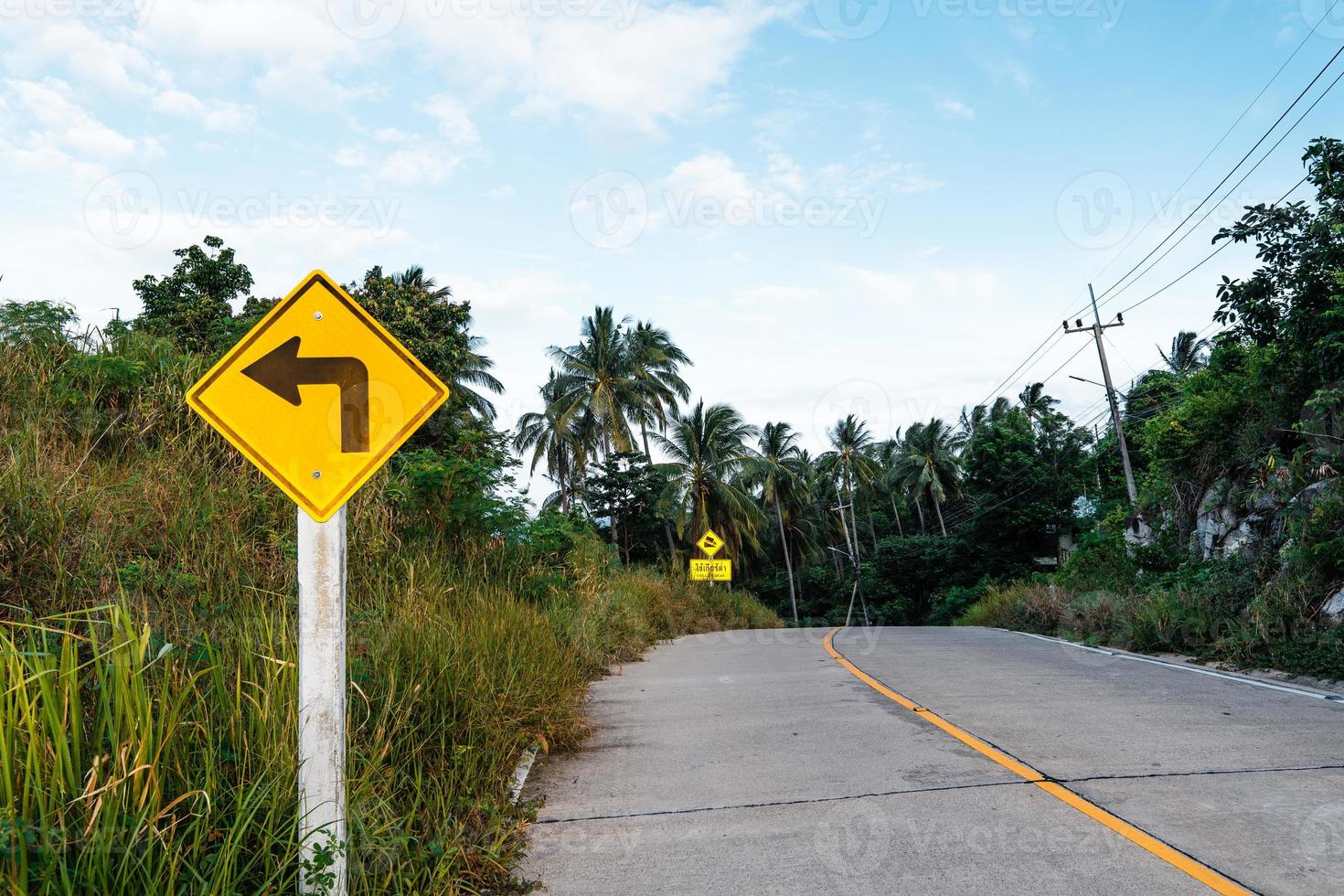Island road and coconut trees photo