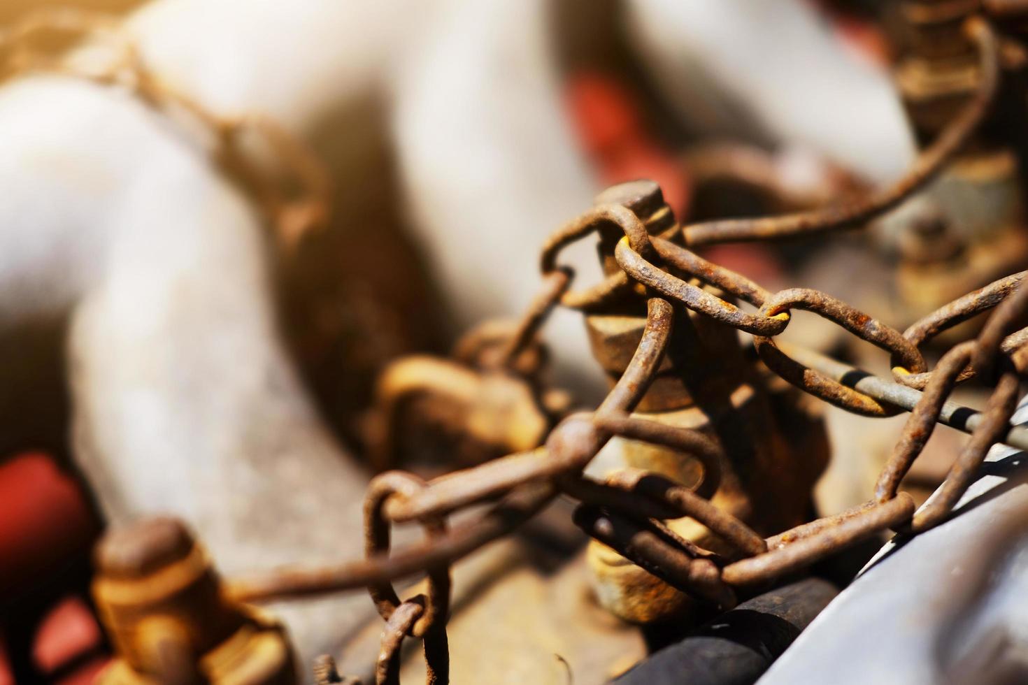 Old Rustic knot and rusty iron chains knotted with sunlight on engine of motor car photo