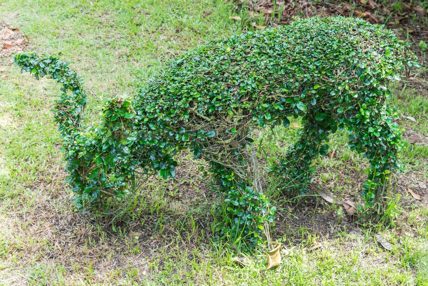 The bending wire model of the deer shape photo