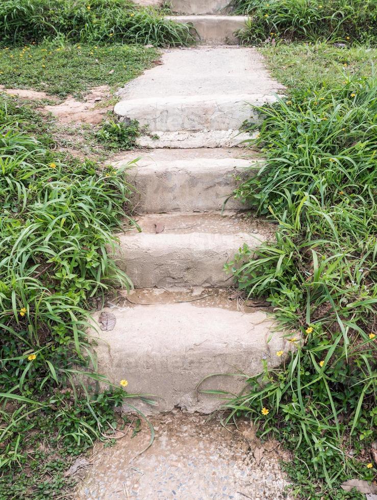 escalera de hormigón a lo largo del sendero natural. foto