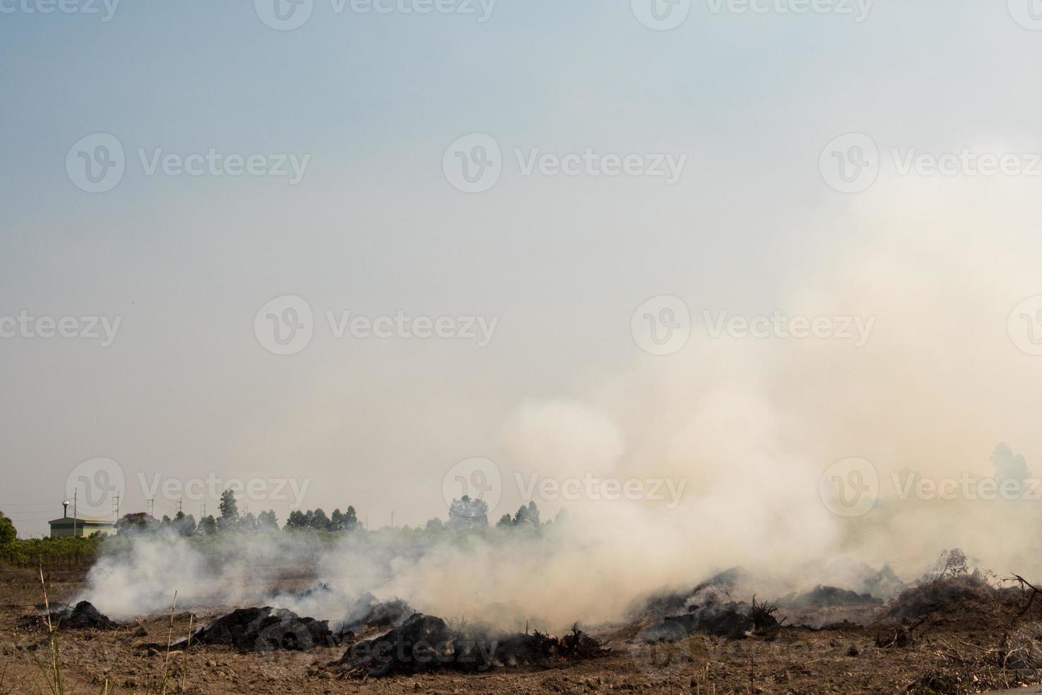 polvo denso y humo de la quema de rastrojos en áreas agrícolas post-cosecha foto