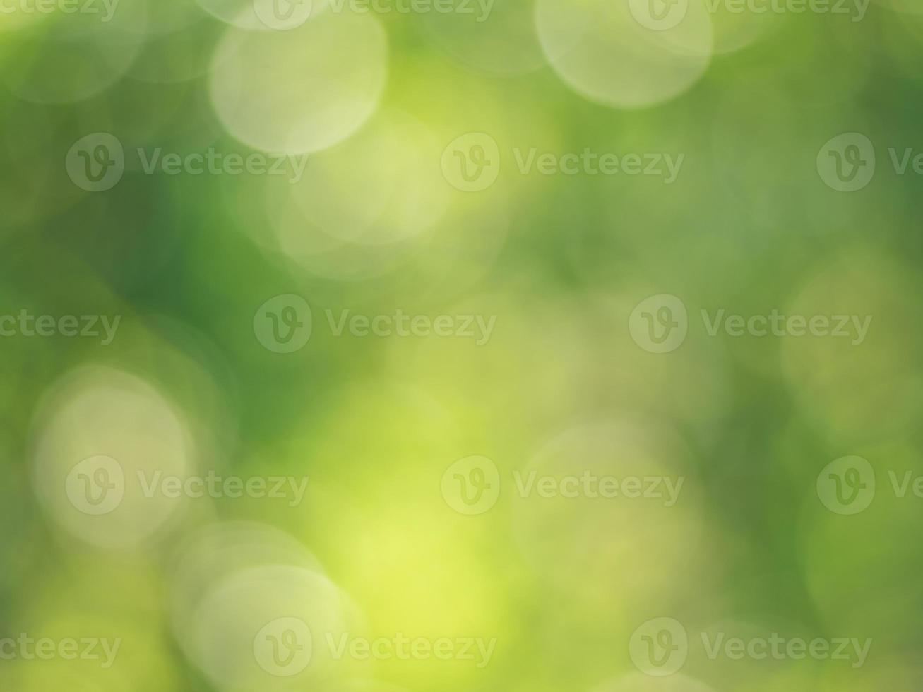 Natural outdoors bokeh background in green and yellow tones, Blurred green tree leaf background with bokeh photo