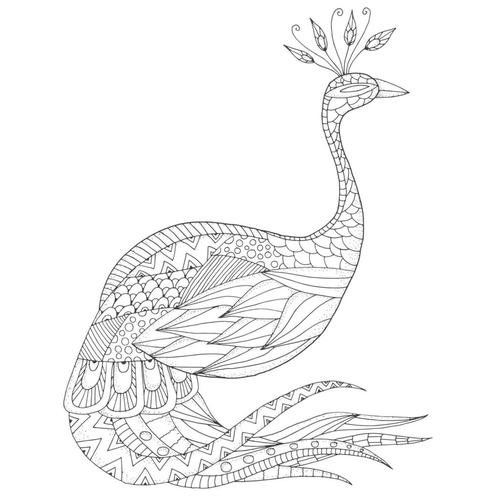 boceto monocromo vectorial de pavo real en estilo zentangle vector