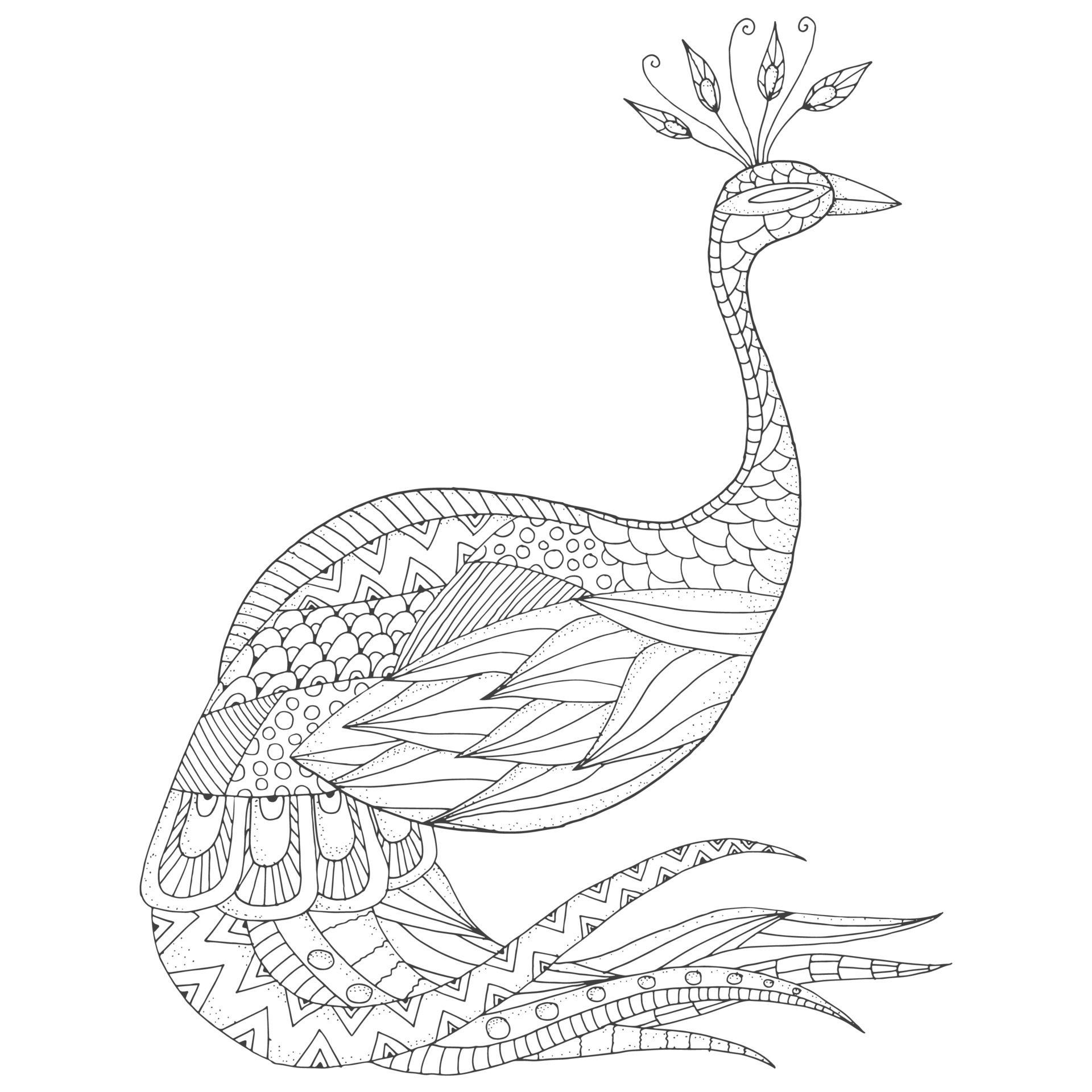 Vector Monochrome Sketch Of Peacock In Zentangle Style 7955554 Vector Art At Vecteezy Vector Monochrome Sketch Of Peacock In Zentangle Style 7955554 Vector Art At Vecteezy