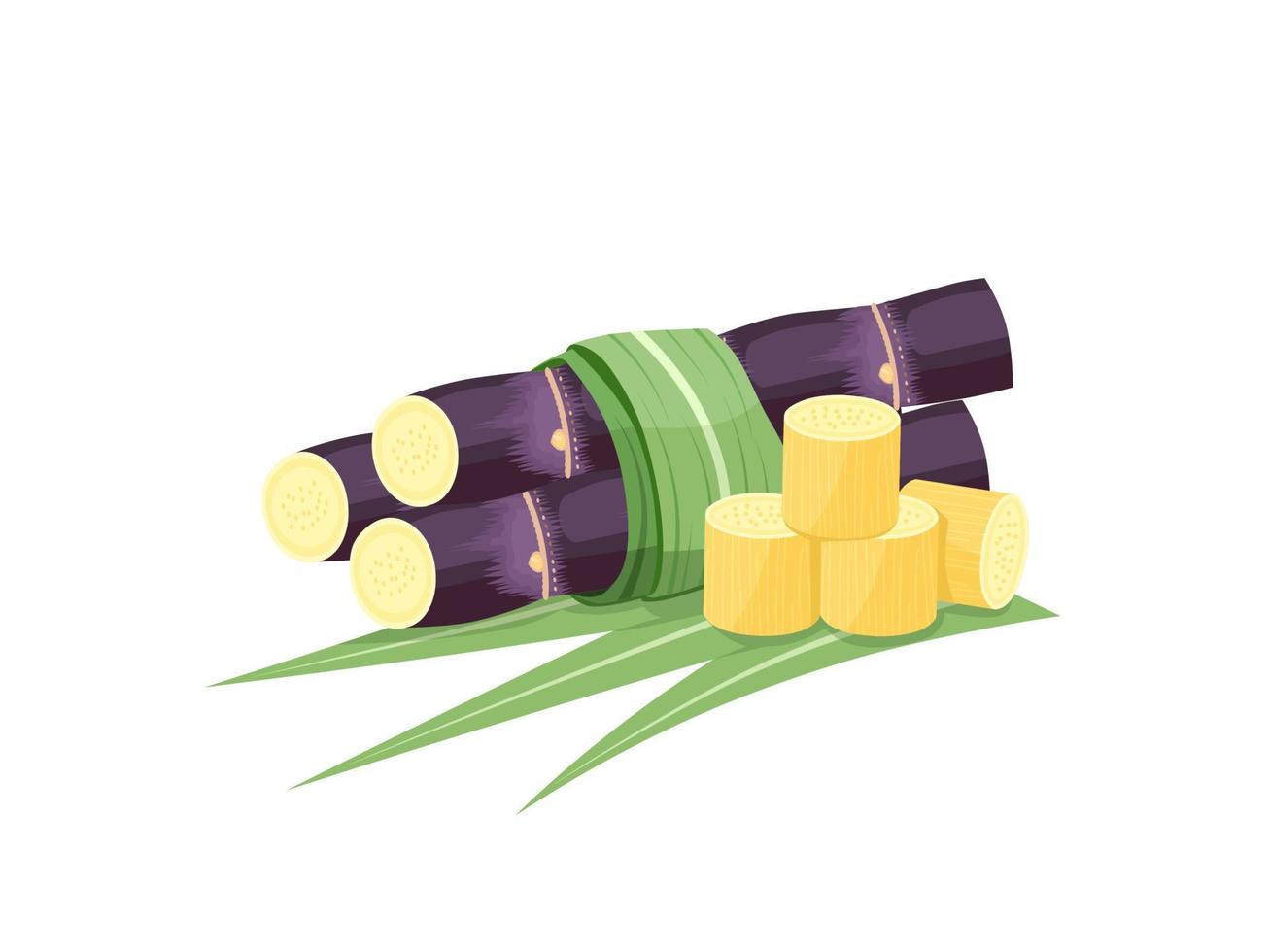 ilustración vectorial de caña de azúcar, aislada en fondo blanco, adecuada como etiqueta de embalaje para productos de caña de azúcar procesados. vector