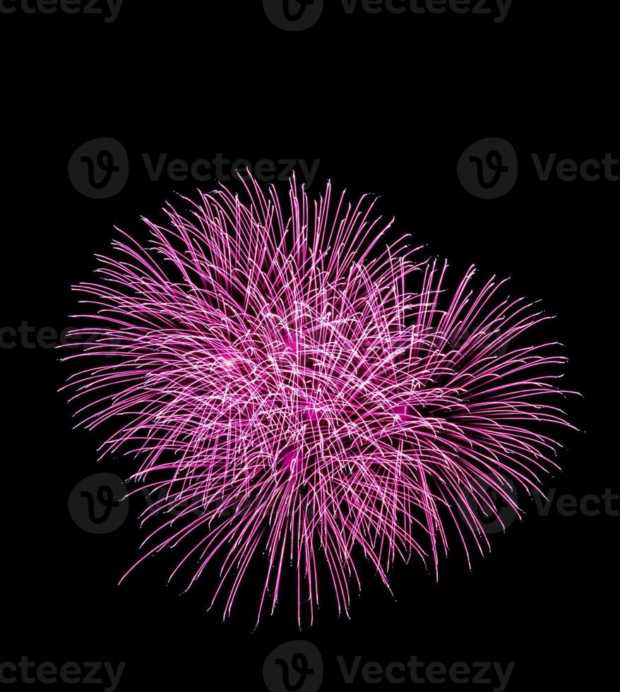The blooming firework photo