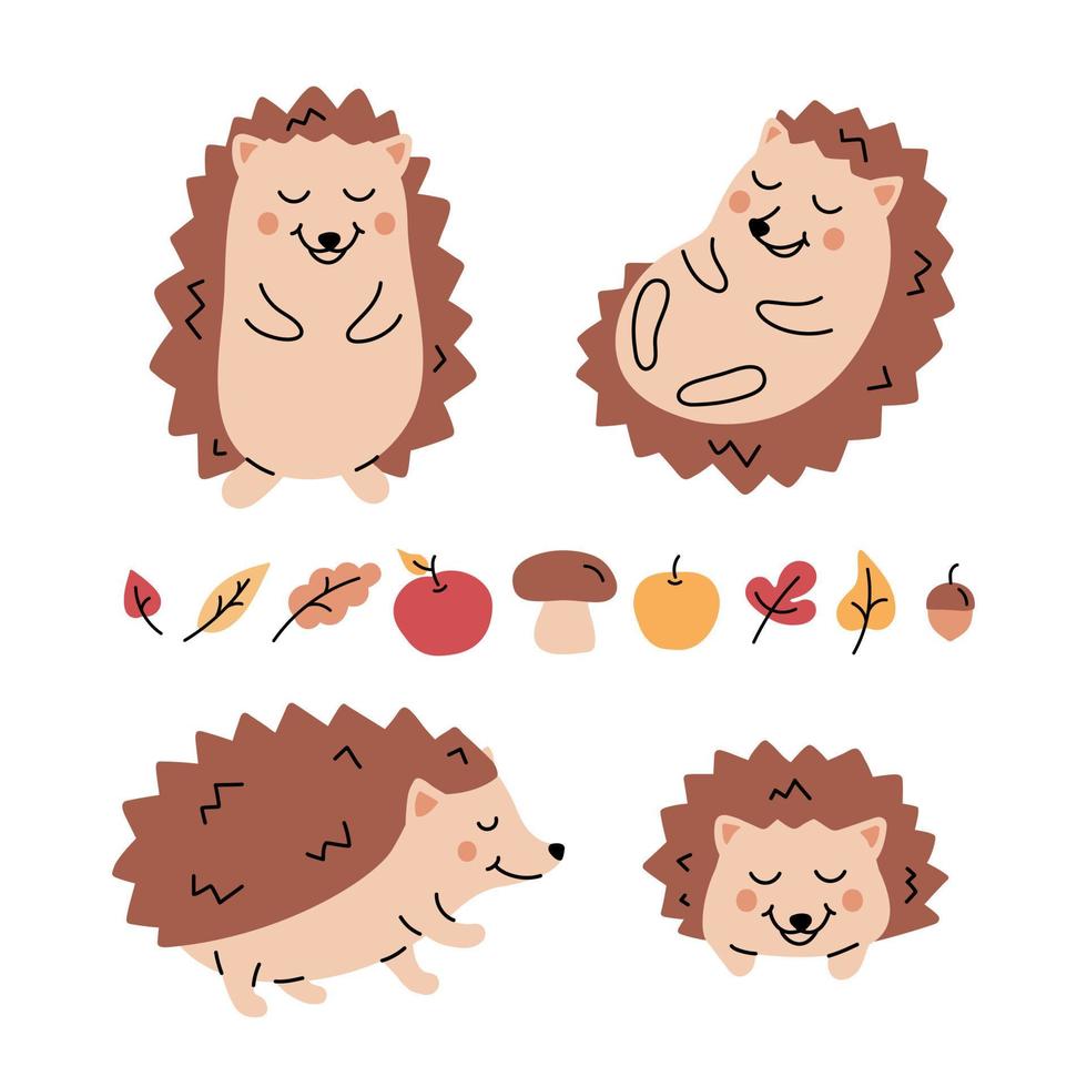 conjunto vectorial de divertidos erizos marrones de dibujos animados con manzanas, hongos, hojas de otoño. vector