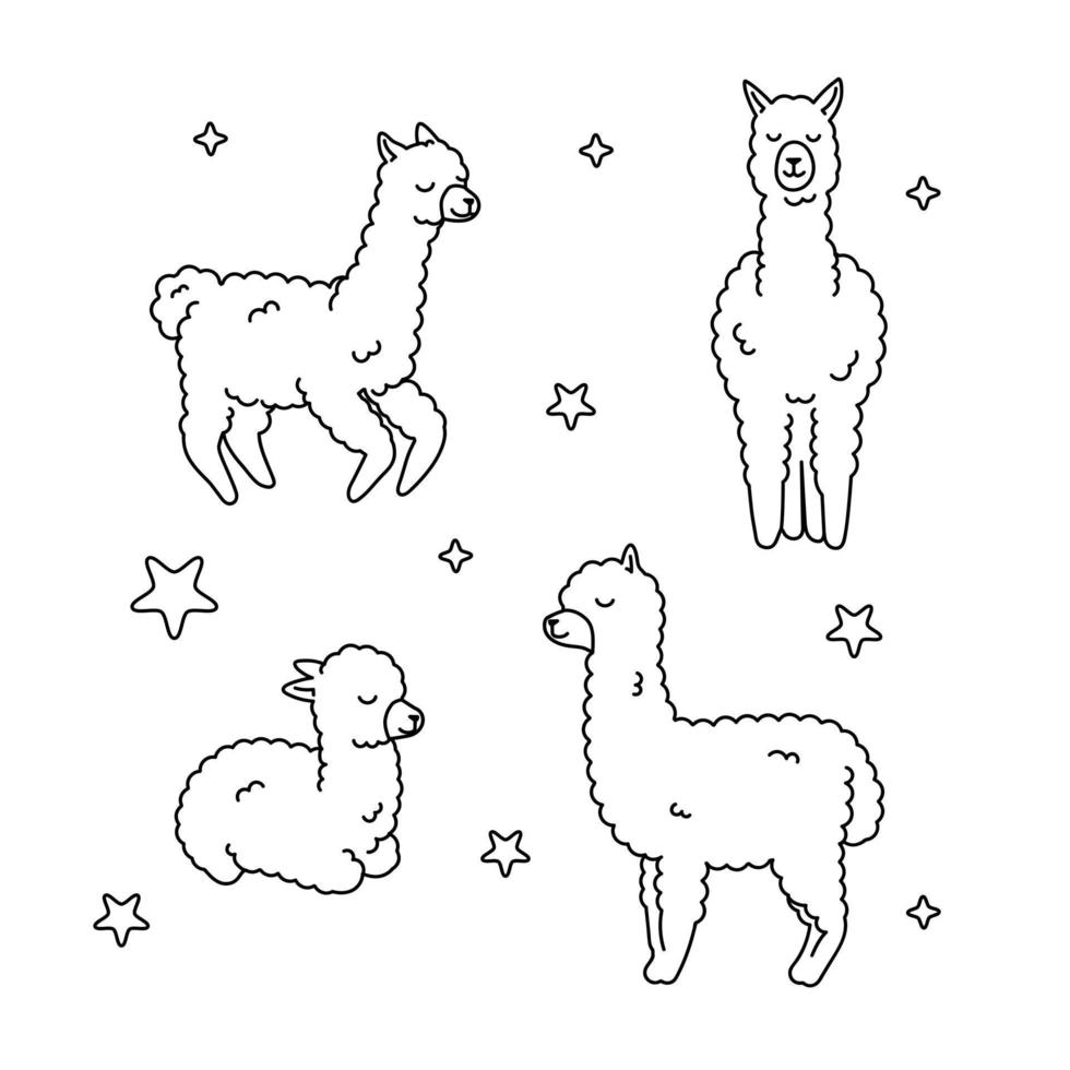 conjunto vectorial de caracteres. ilustración de américa del sur lindo lama con estrellas. llama de bebé de dibujos animados de contorno aislado. vector