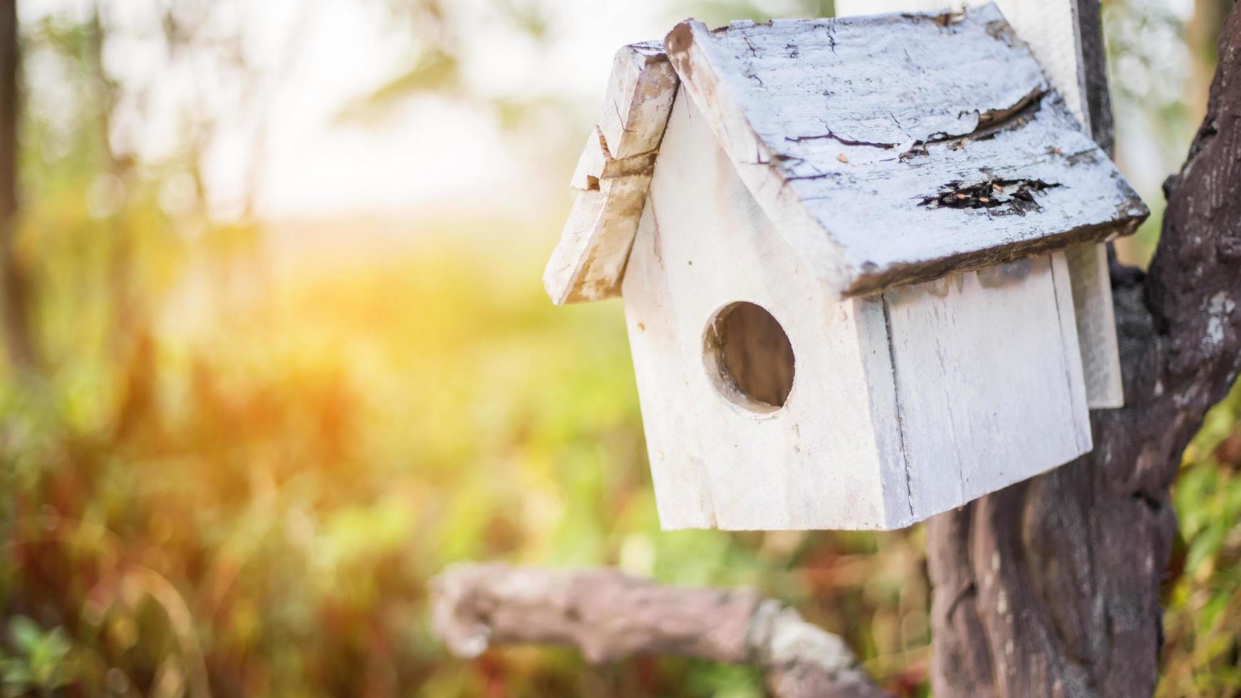 Miniature birdhouse decoration hanging on branches of willow tree photo