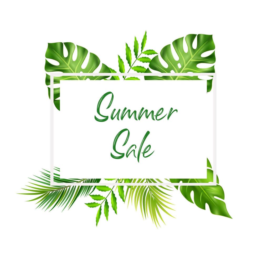 Summer sale background with tropical leaves vector