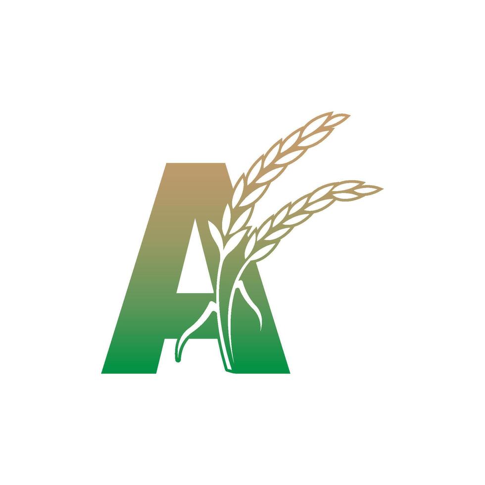 Letter A with rice plant icon illustration template vector