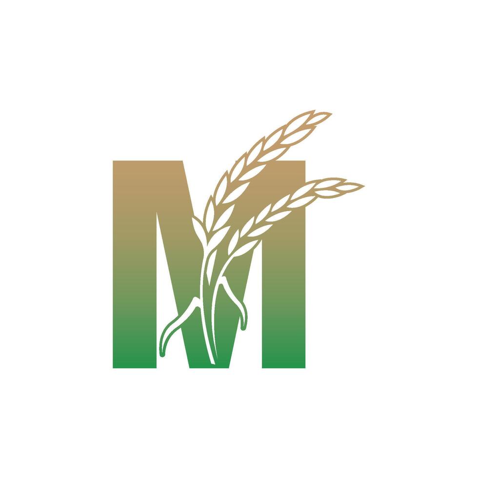 Letter M with rice plant icon illustration template vector