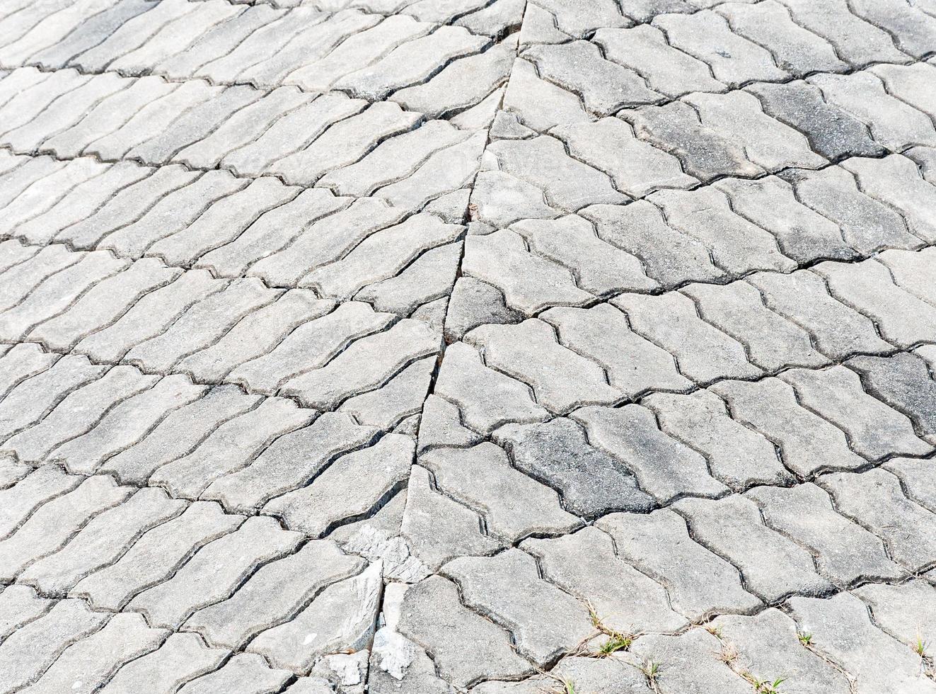 The brick walkway photo