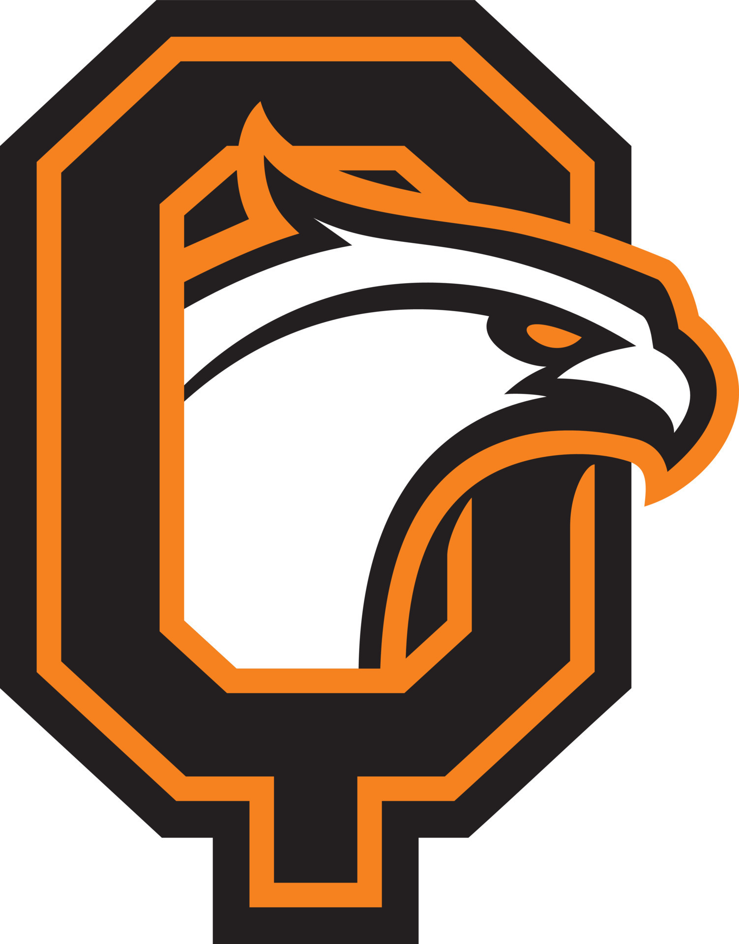 Letter Q with eagle head. Great for sports logotypes and team mascots