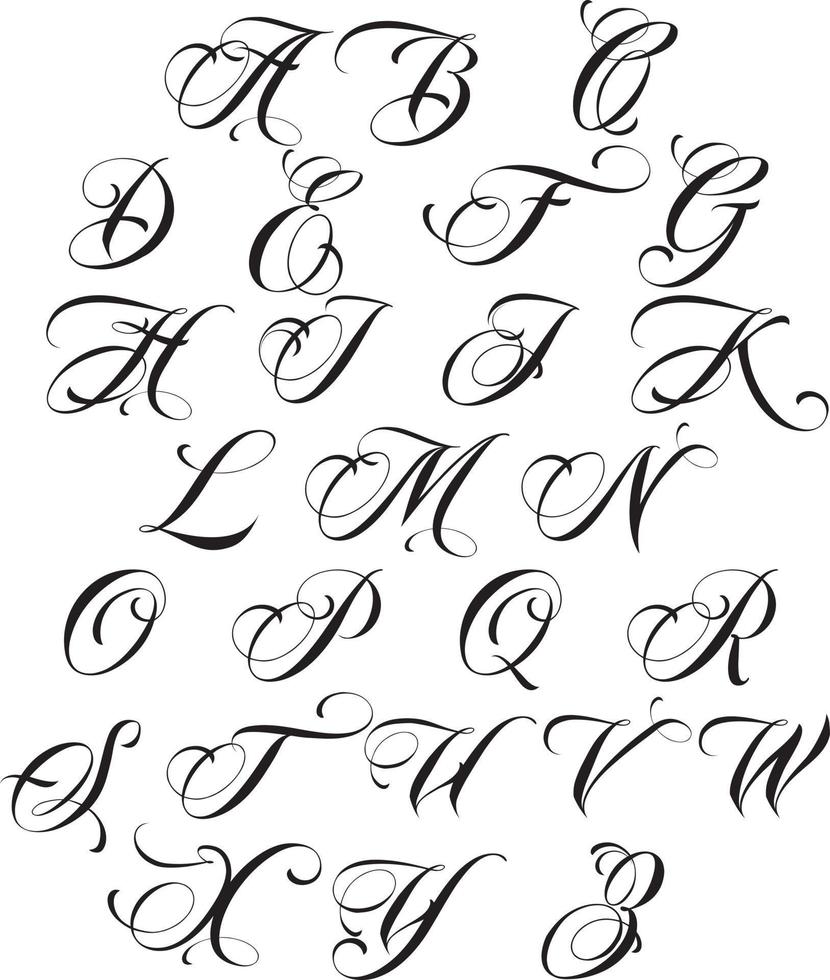 Calligraphy alphabet. Design elements.Decoration vector