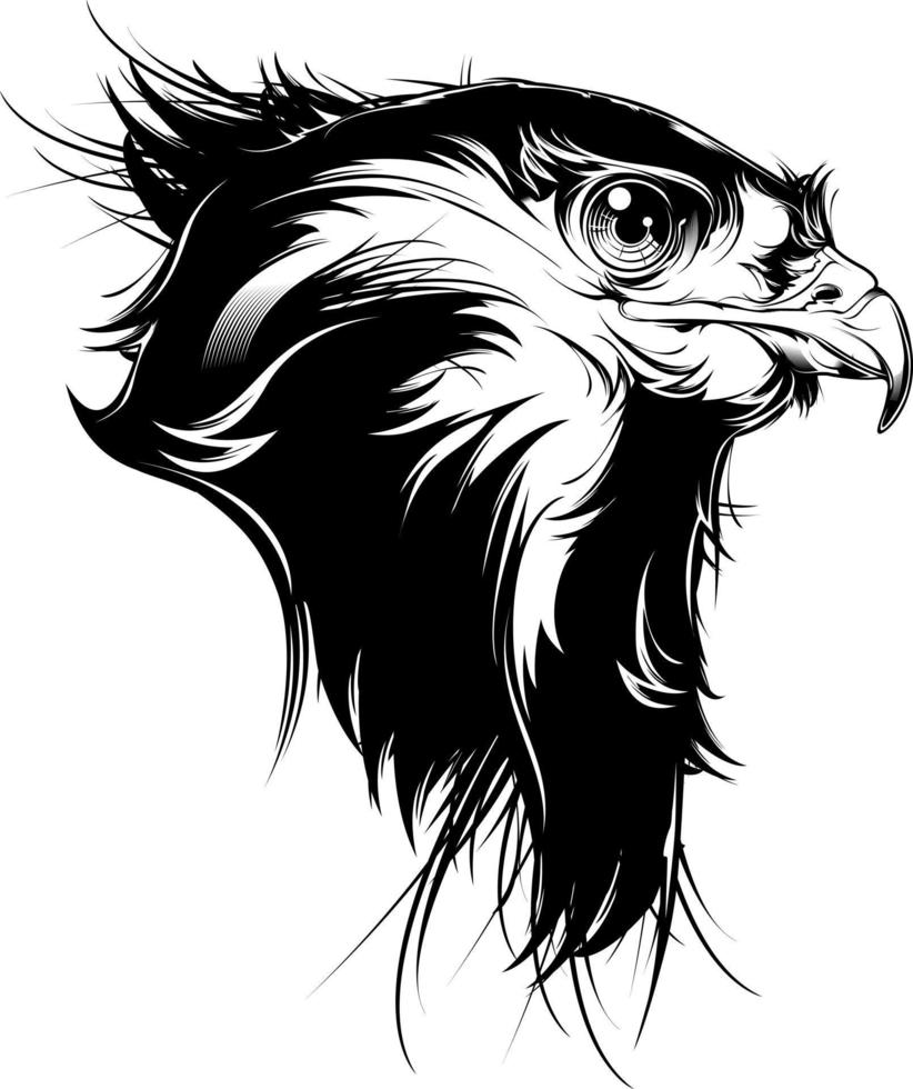 Head of falcon. Vector illustration