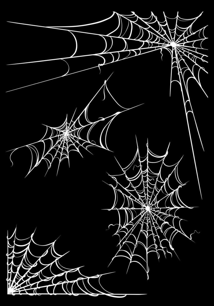 telaraña. elementos de diseño vector