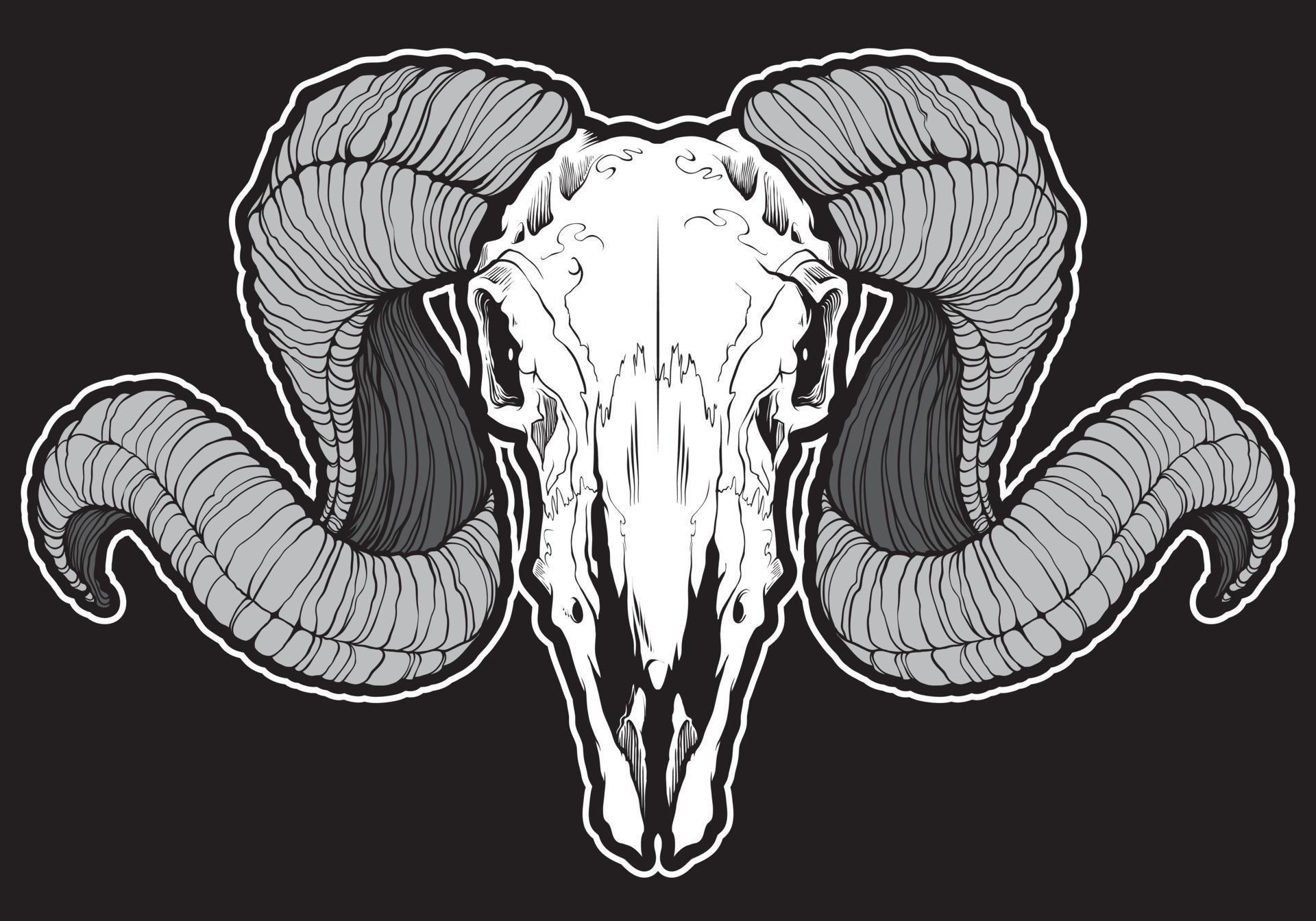 Skull of ram with curved horns 7958990 Vector Art at Vecteezy