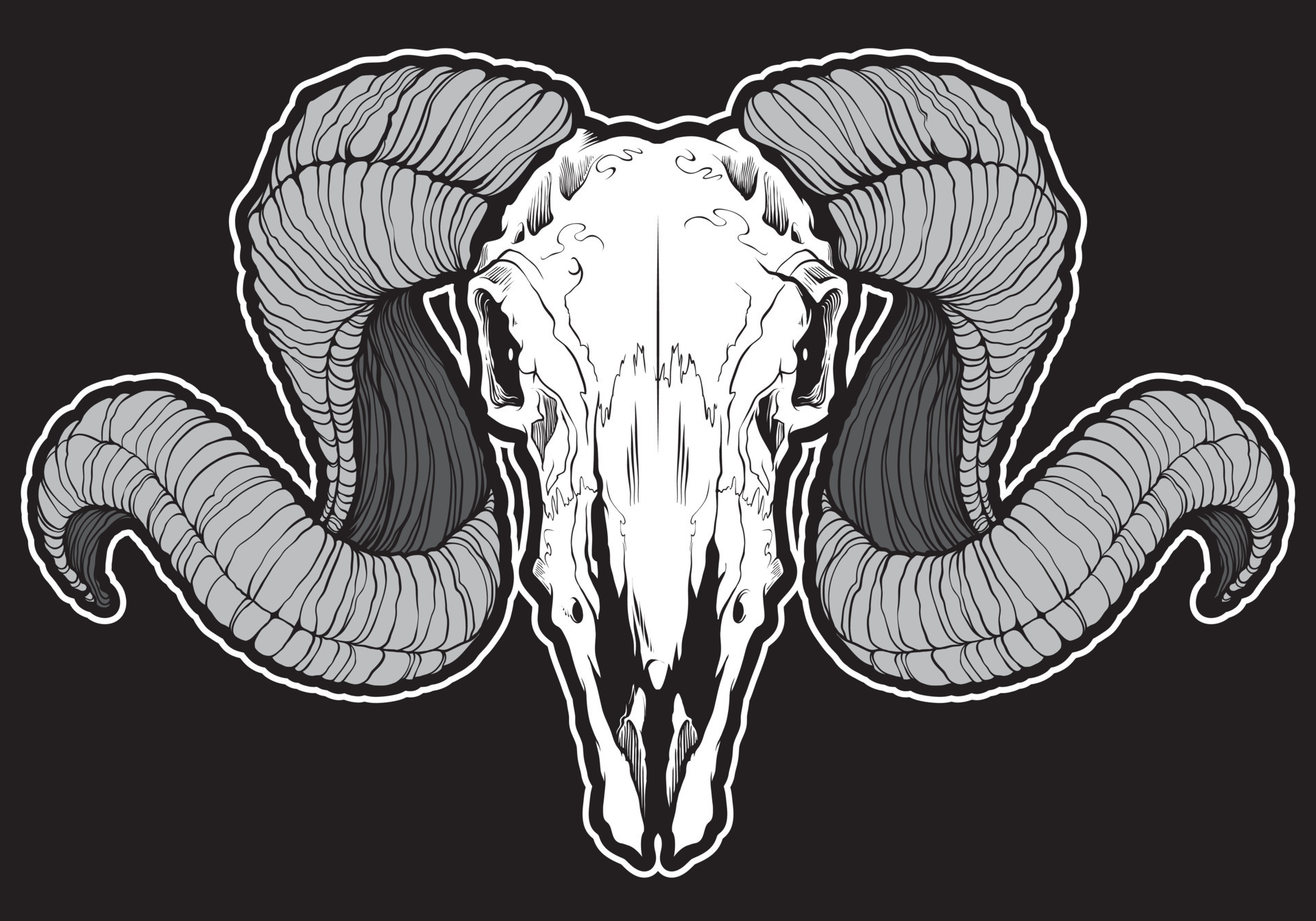 Skull of ram with curved horns 7958990 Vector Art at Vecteezy