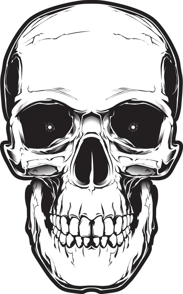 The image of the skull. Vector illustration. Isolated on white.