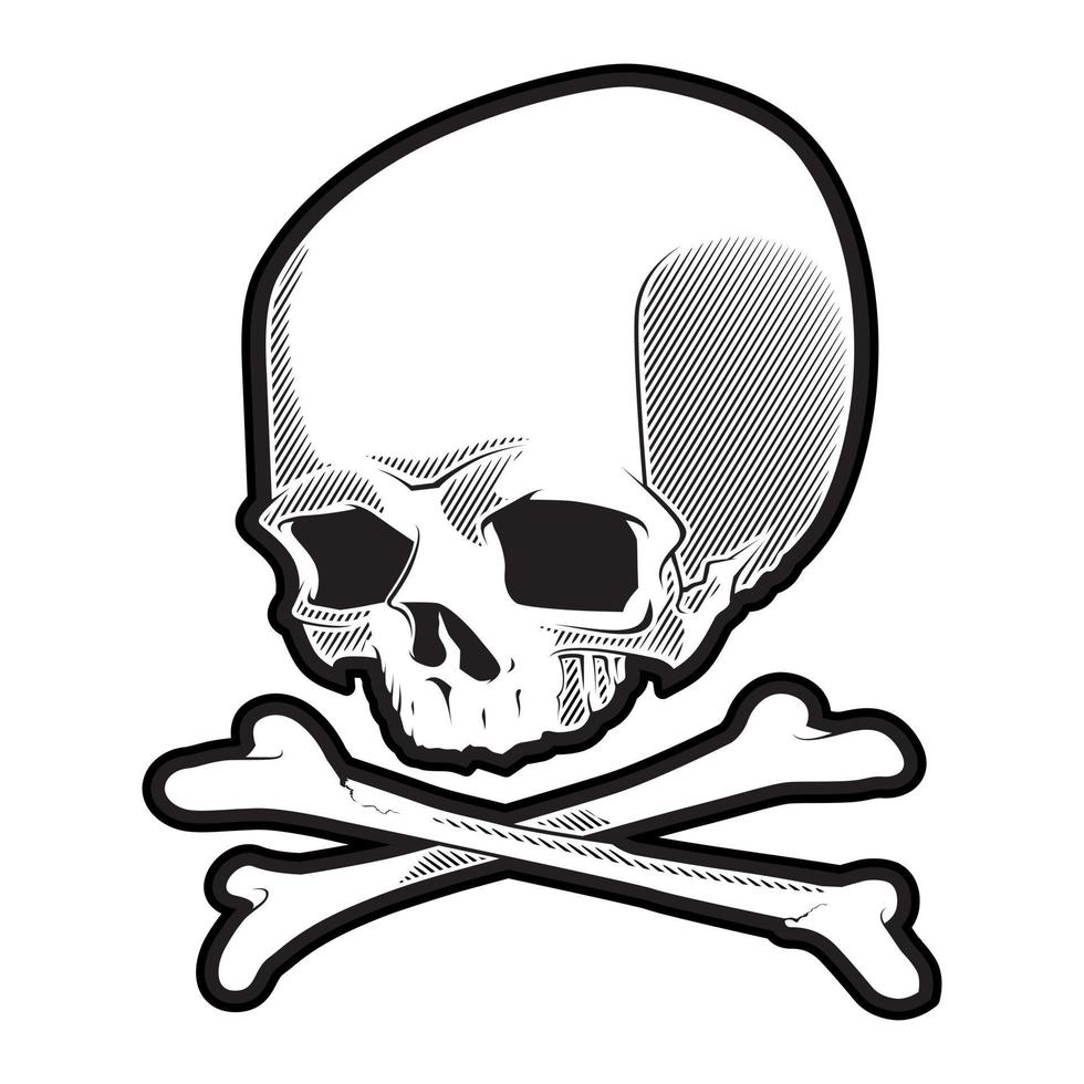 Pirate skull with crossbones vector