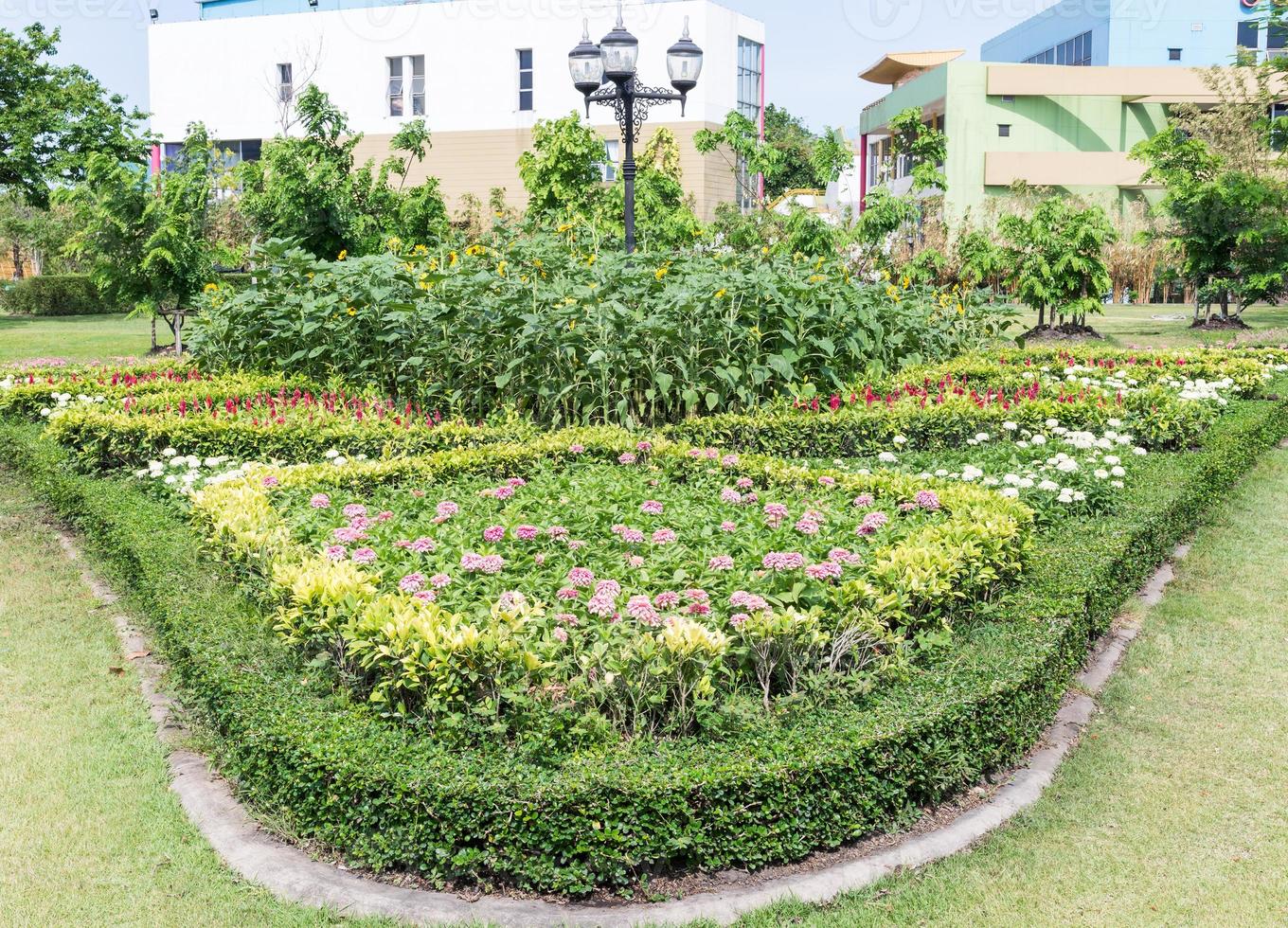 Variety flower of planting curve photo