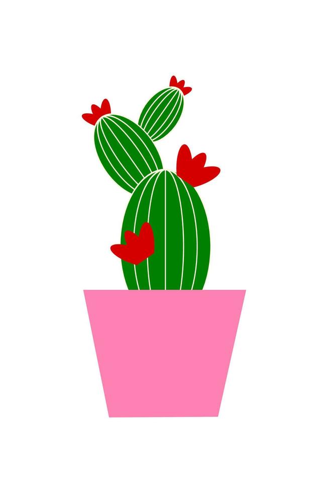 cactus in a pot vector