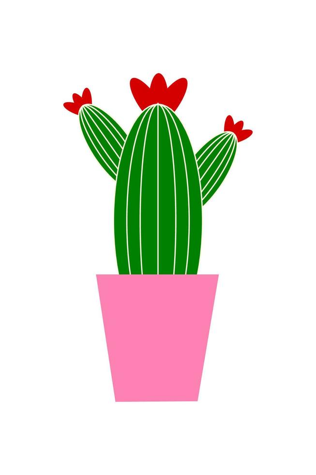 cactus in a pot vector