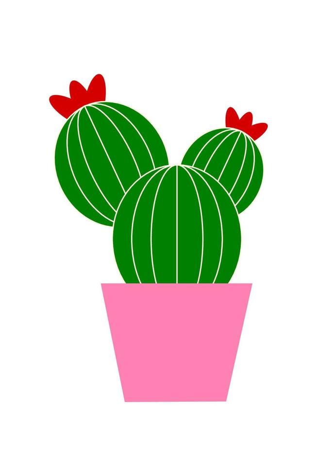 cactus in a pot vector