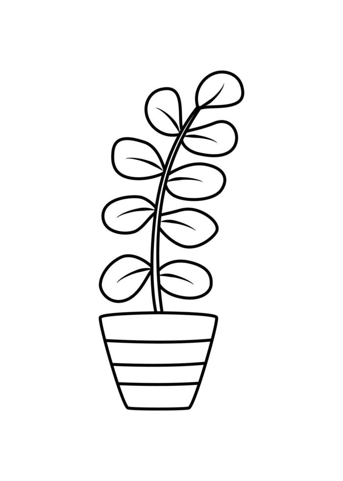 Ficus in a flower pot. Vector illustration contour doodle flower with leaves for room decoration.