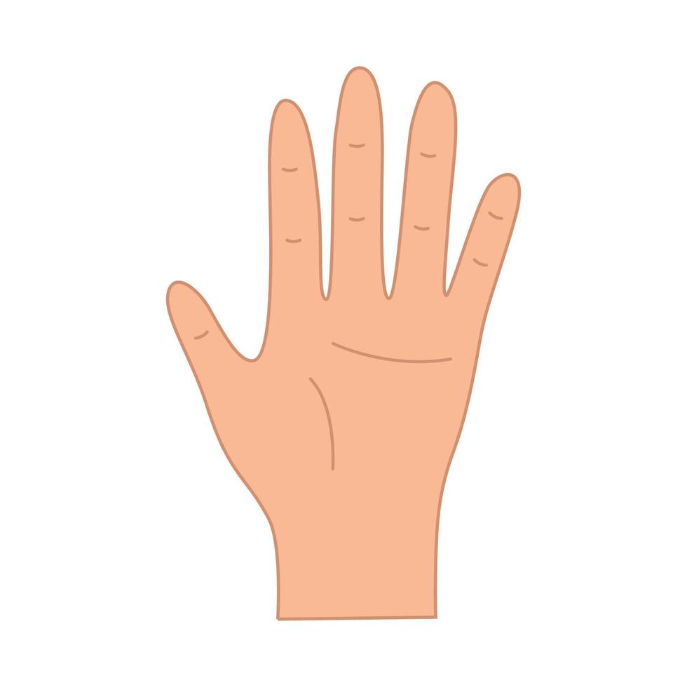 Palm five fingers up. Hand gesture of greeting, vector illustration of isolate on white.