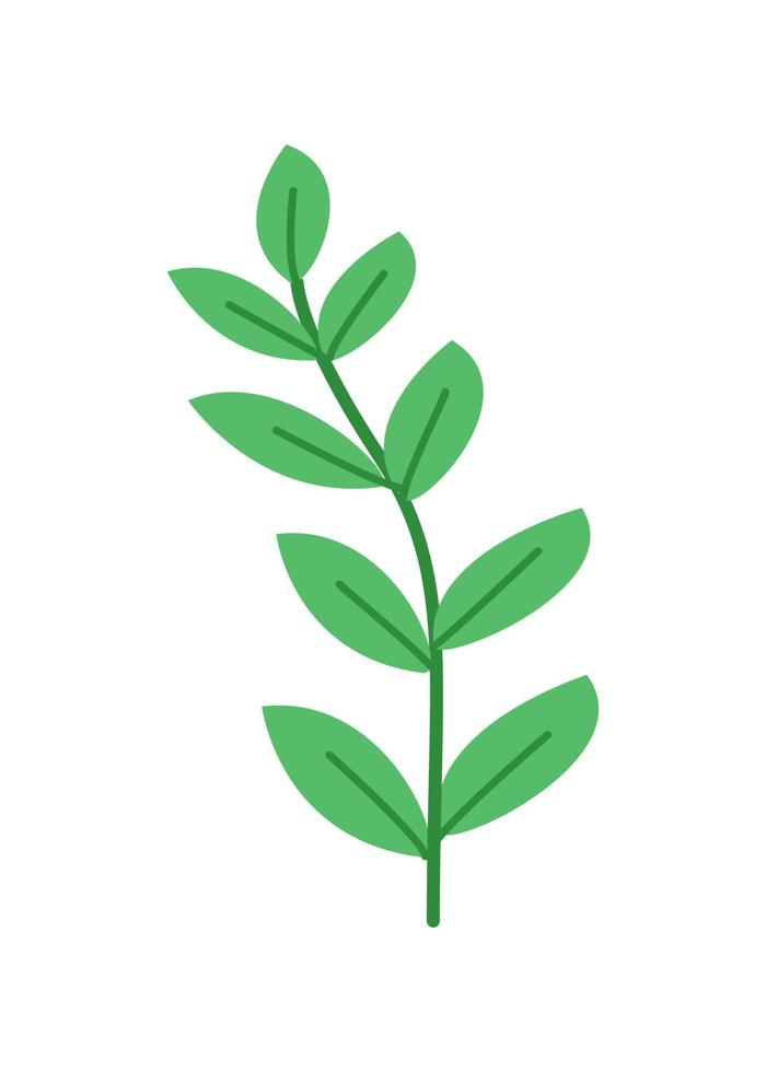 Field plants, meadow grass and flowers. Vector doodle illustration.