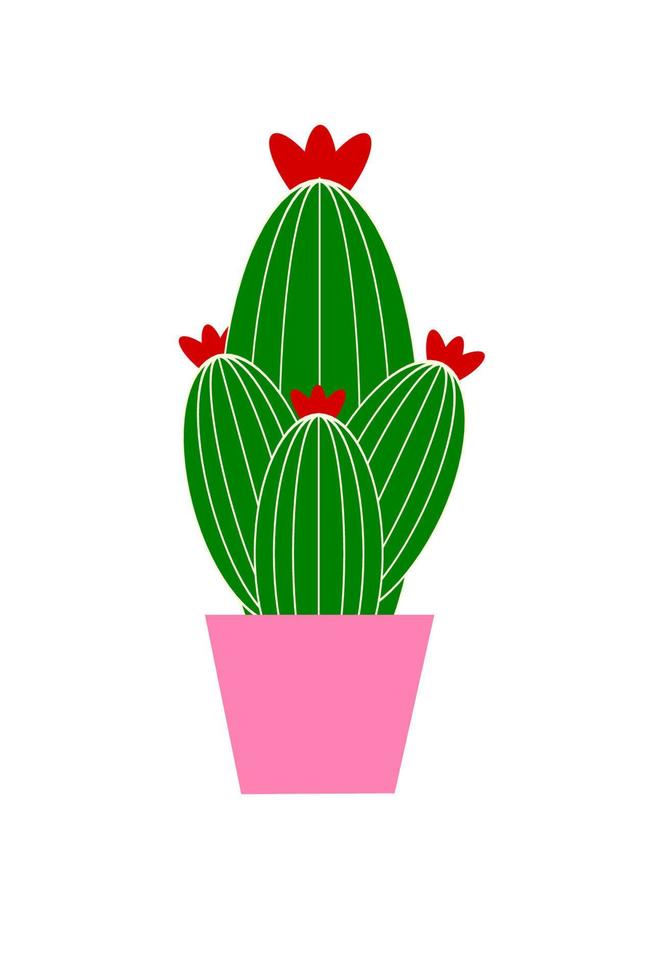 cactus in a pot vector