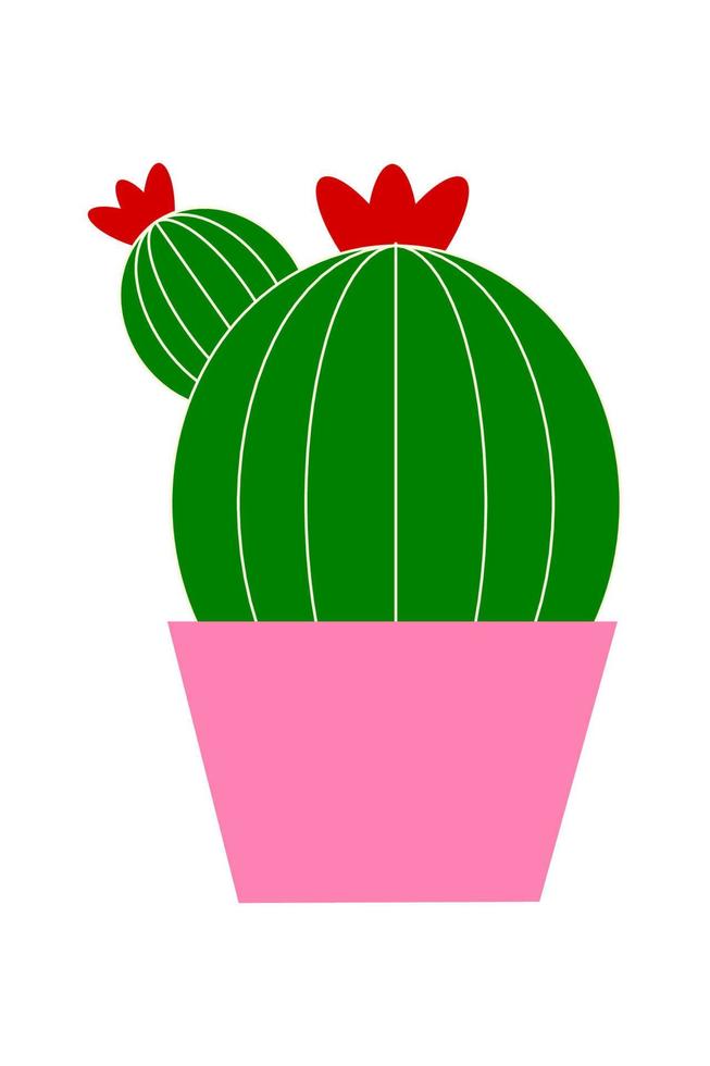 cactus in a pot vector