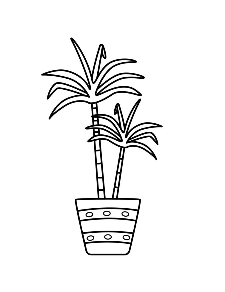 Dracaena in a flower pot, vector illustration of the contour of a palm plant.
