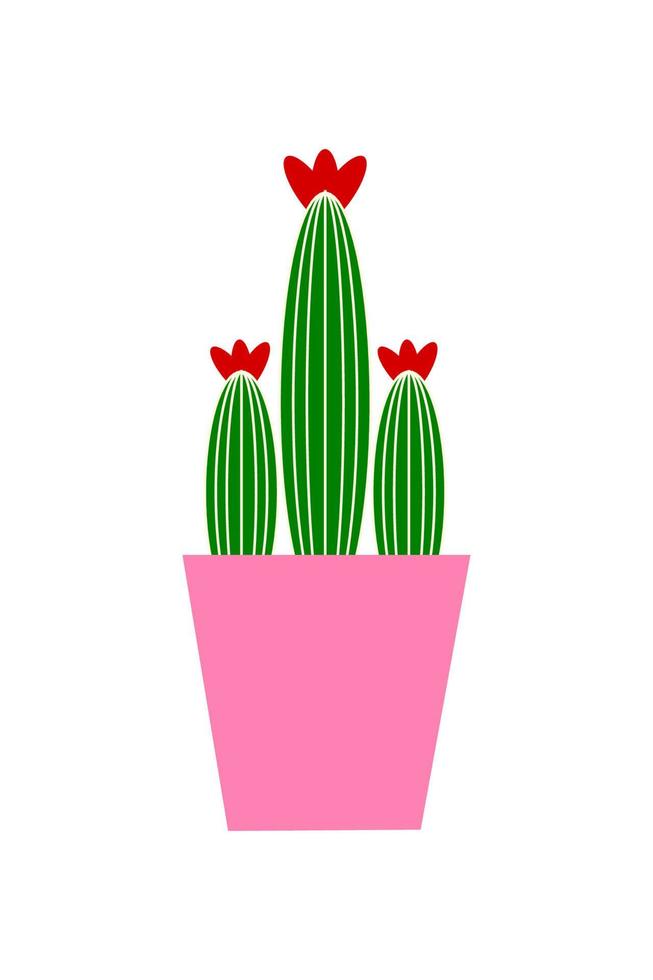 cactus in a pot vector