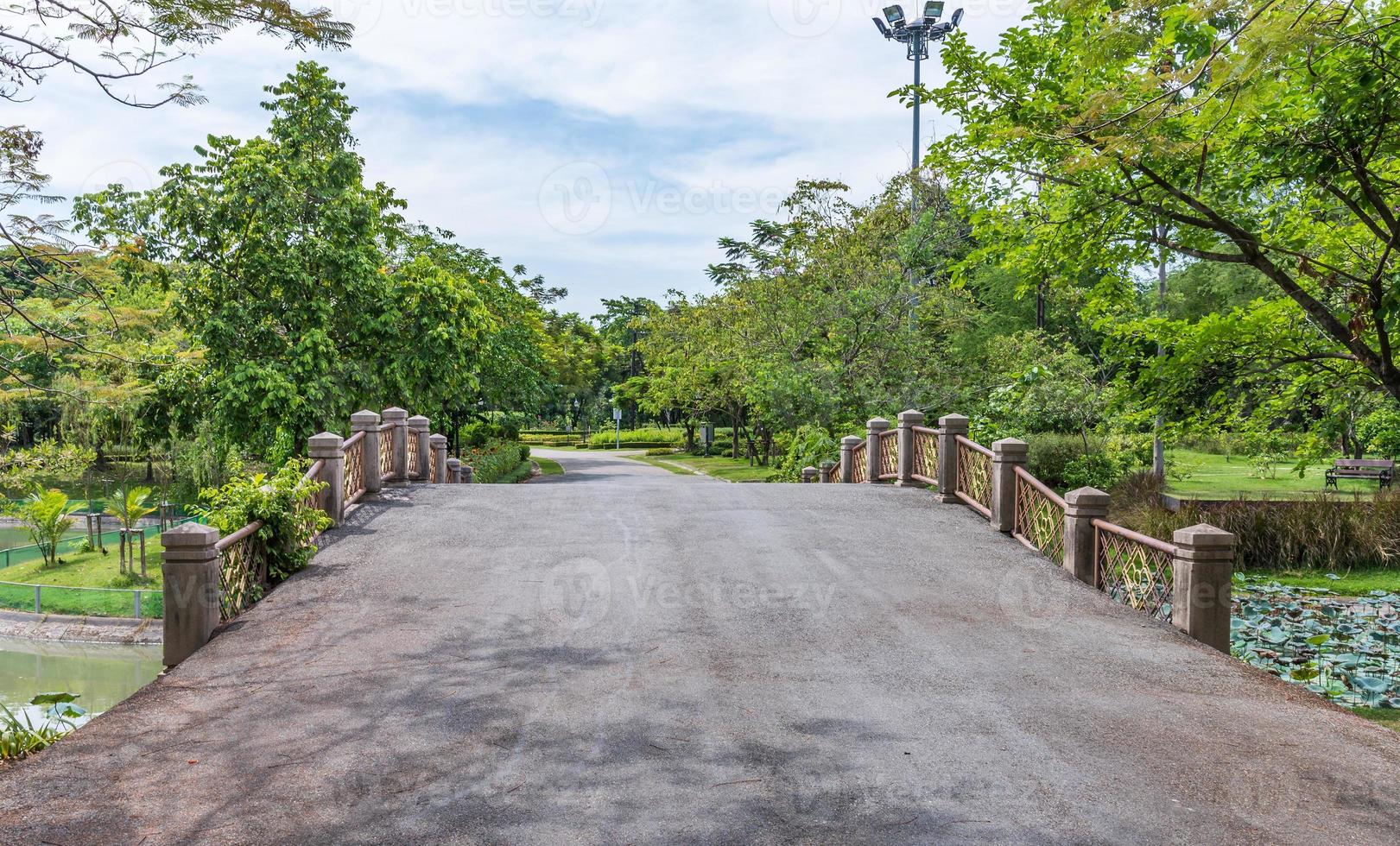 Empty asphalt way. photo