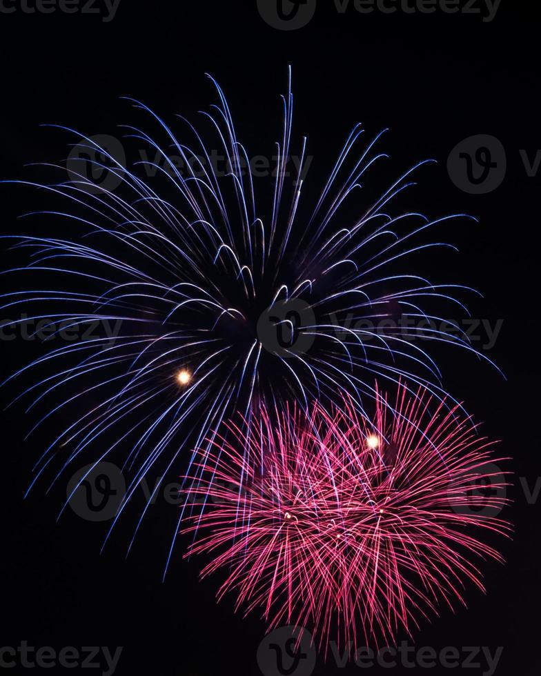 The colorful firework photo