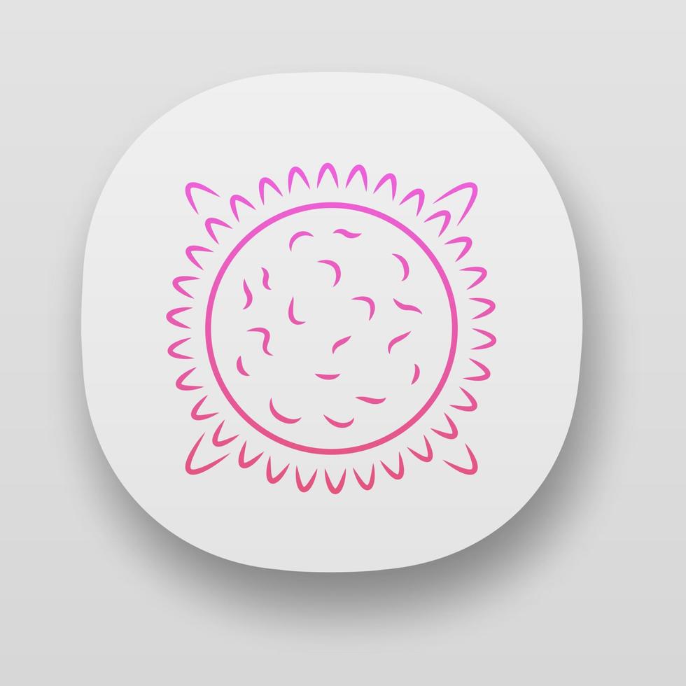 Sun app icon. Star in Solar System center. Hot plasma sphere. Space exploration. Astronomy, astrophysics, astrology. UI UX user interface. Web or mobile applications. Vector isolated illustrations