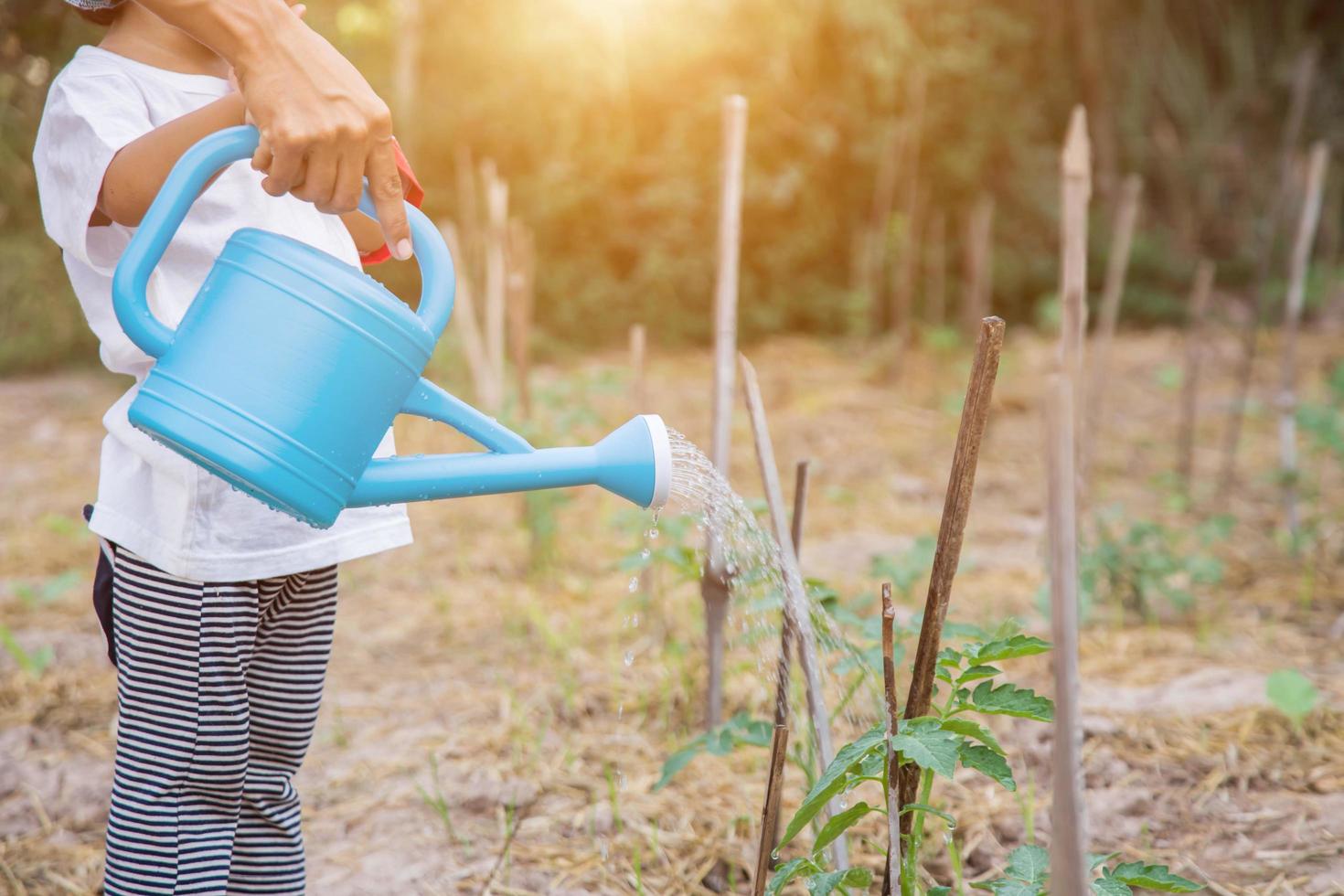 Little girl watering tree with watering pot photo