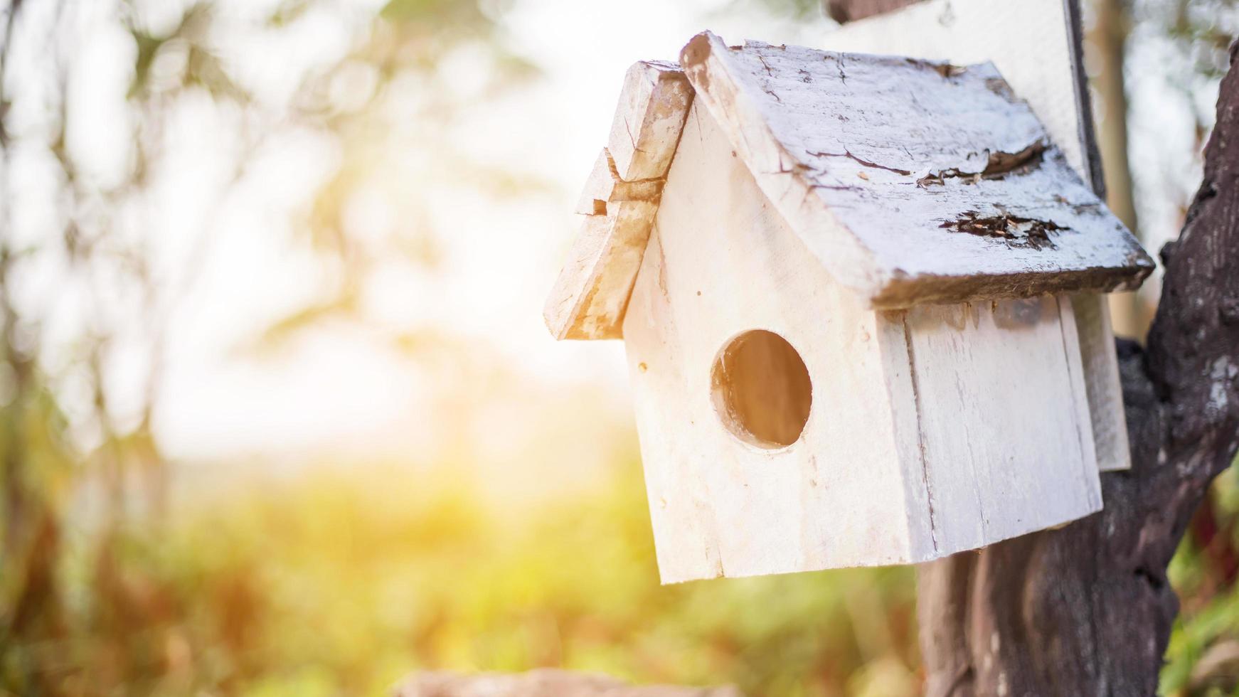 Miniature birdhouse decoration hanging on branches of willow tree photo