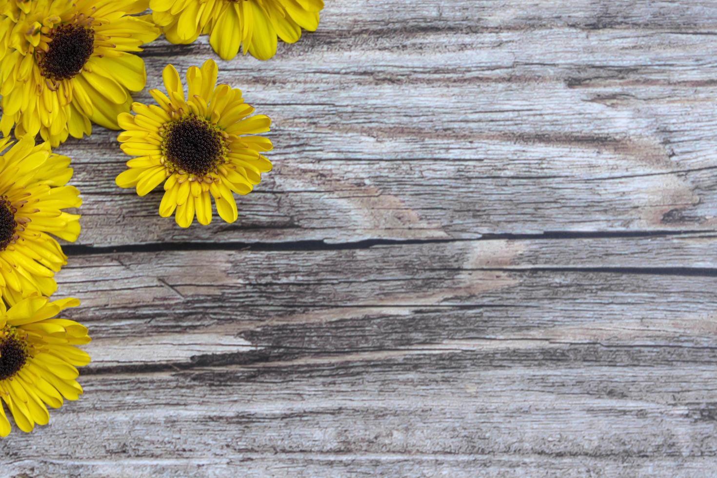 Wooden surface and sunflowers flat lay with copy space. photo