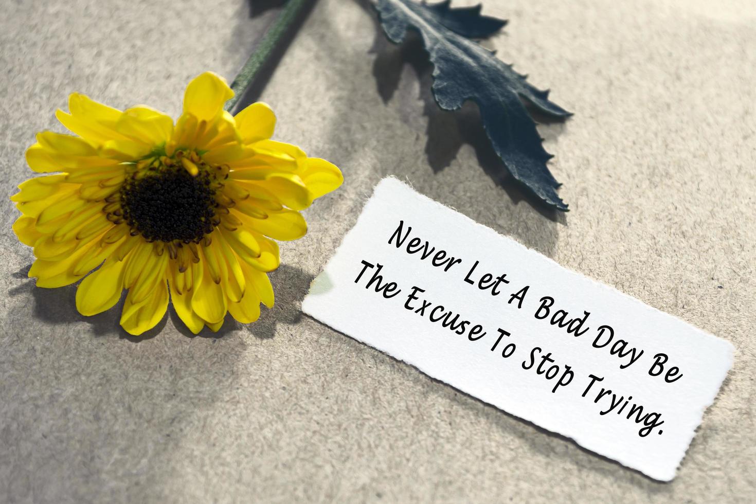 Motivational quote on torn white paper on wooden surface with sunflowers. photo