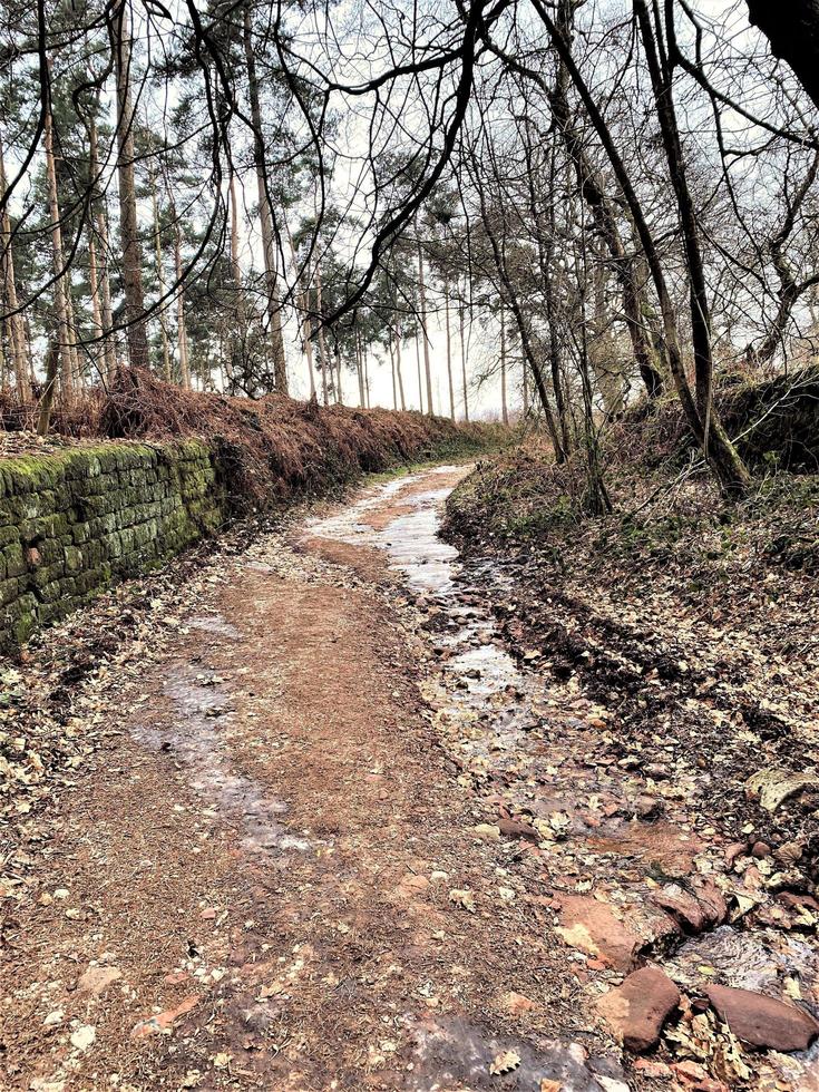 A view of the Cheshire Countryside at Peckforton Hills photo