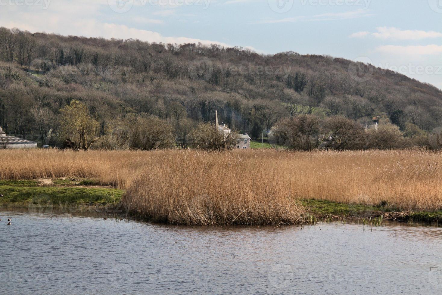 A view of Leighton Moss Nature Reserve in the Lake District photo