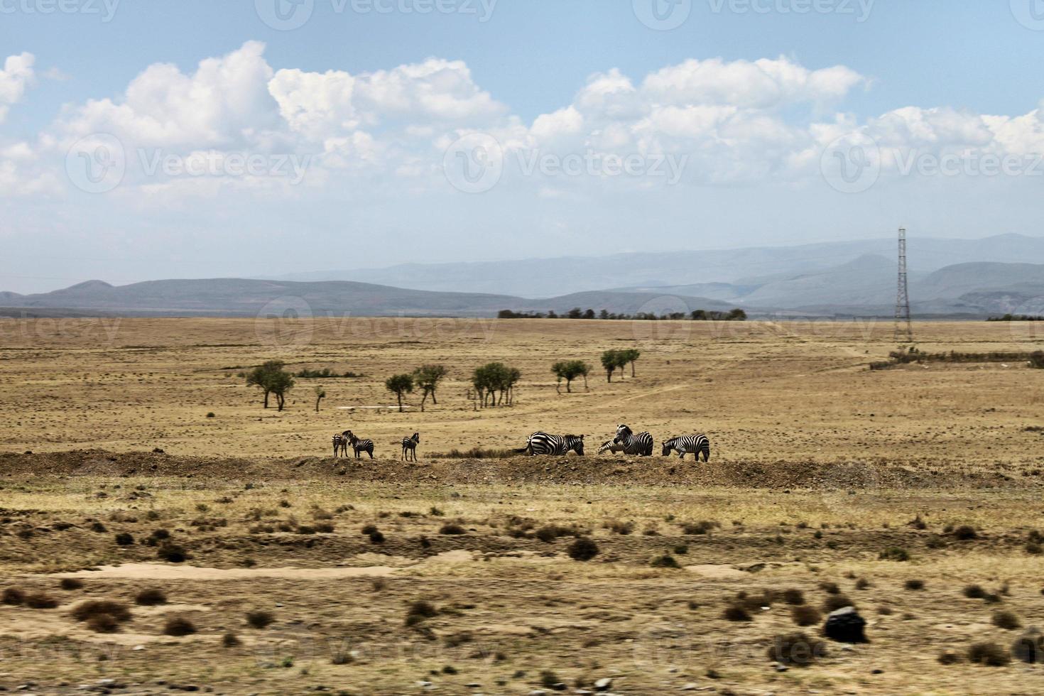 A view of the Kenya Countryside on the way to Kimilili photo