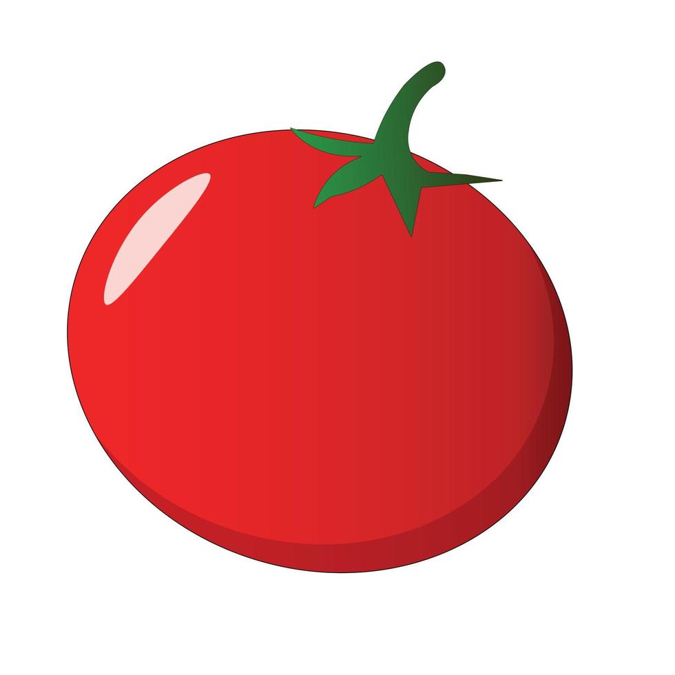 Fresh red tomato on a white background. Single tomato. Cherry tomato. Tomato icon. Vegetable salad ingredient. vector