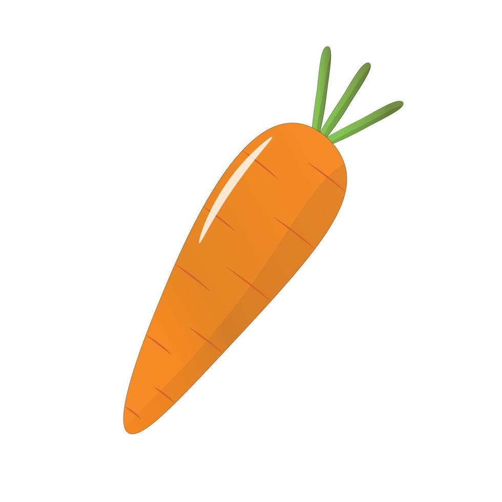 Illustration of carrot isolated. Flat design isolated vector. Flat carrot icon. Carrot for web, design, button, printing, decoration, receipt vector