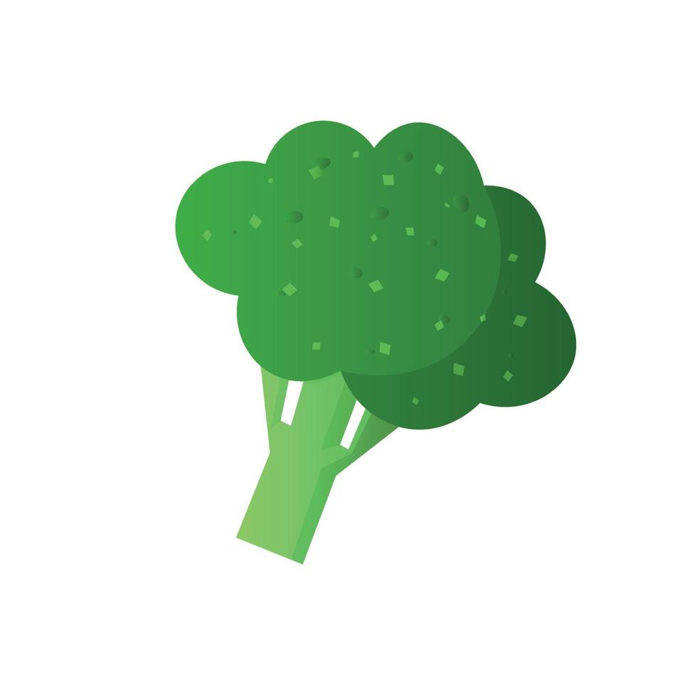 broccoli vegetable fresh farm healthy food. Broccoli flat icon vector, colorful logo illustration isolated on white vector